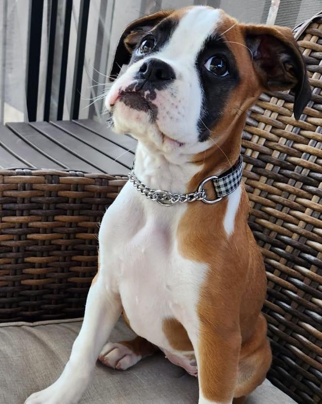 Mable