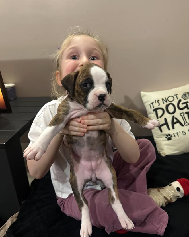 More Puppies